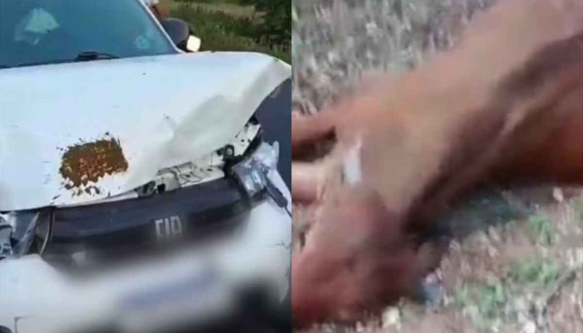Filho de Neto Araújo escapa de acidente com animal na RN-118 quando ia para velório do pai