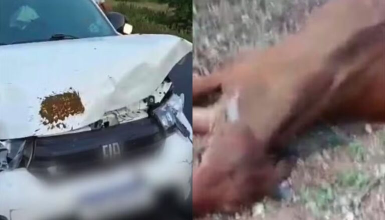 Filho de Neto Araújo sofre acidente de trânsito a caminho do velório do pai no interior do RN