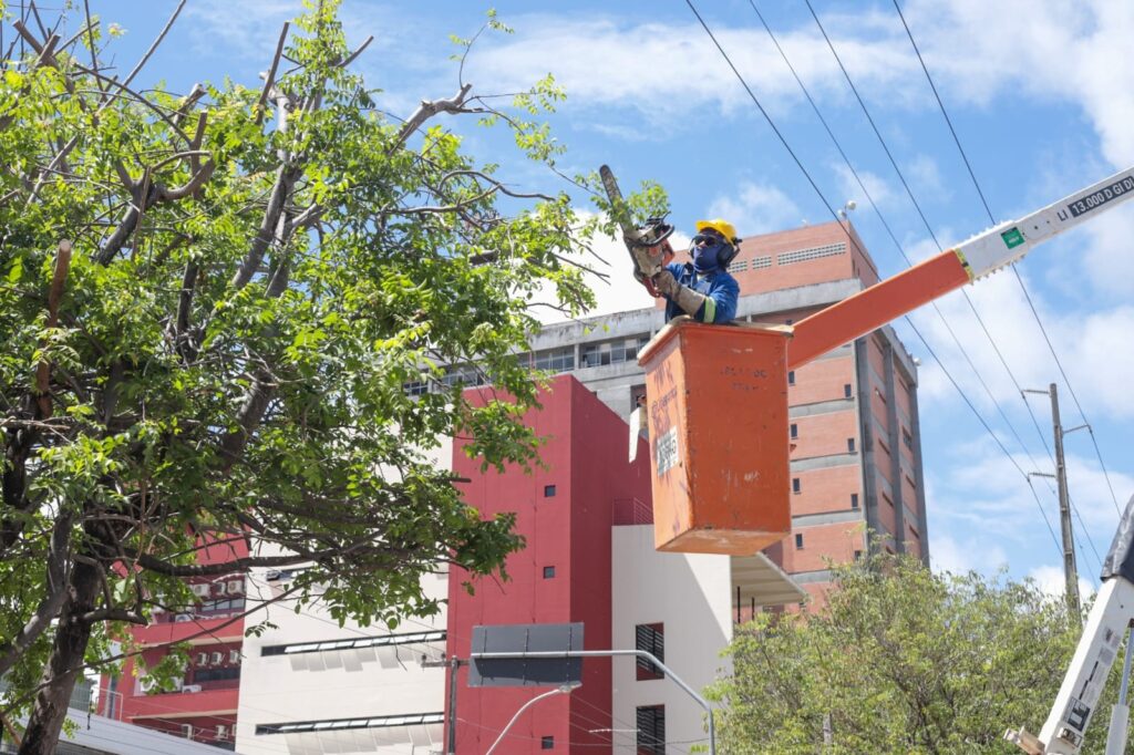 Avenida Antônio Basílio terá trecho interditado para poda de árvores