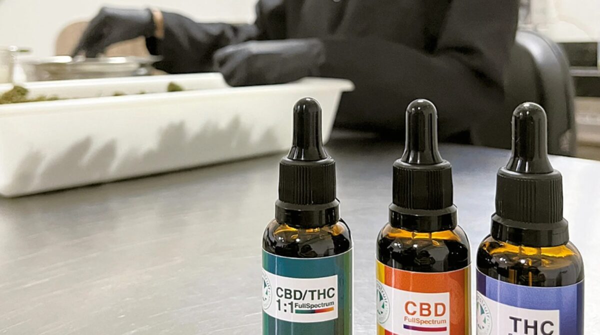 SUS no RN ganha primeira capacitação gratuita sobre prescrição de cannabis medicinal