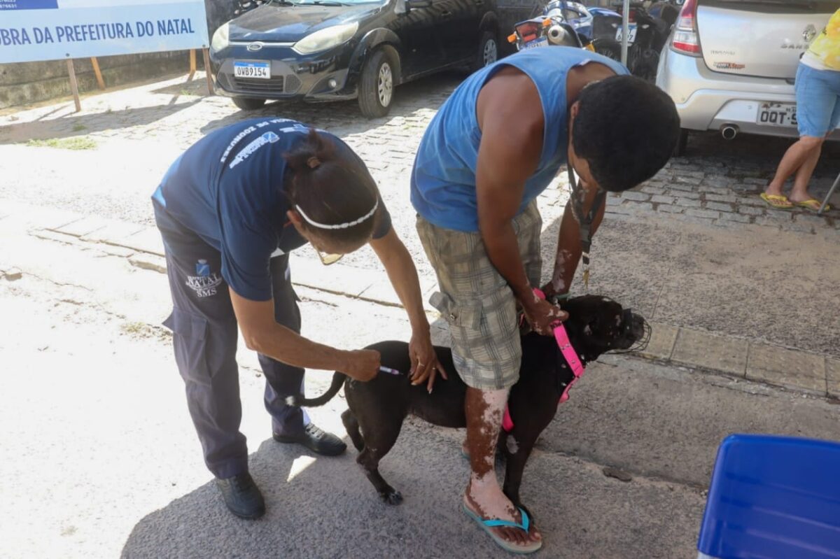 Vacina contra a raiva em Natal